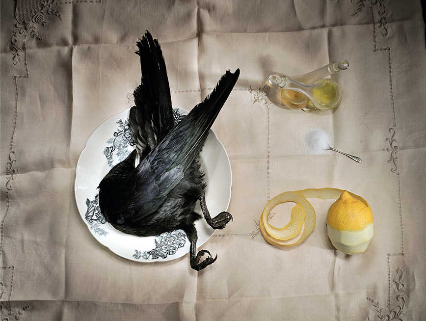 Photograph of Crow on a plate, a half peeled lemon placed next to the crow.