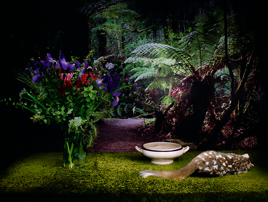 Photograph of a still life image of flowers in vase on the left, a bowl in the centre and a dead quoll placed on the right.